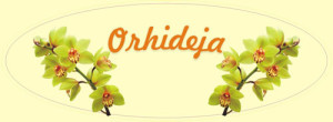 orhideja-logo-svetli